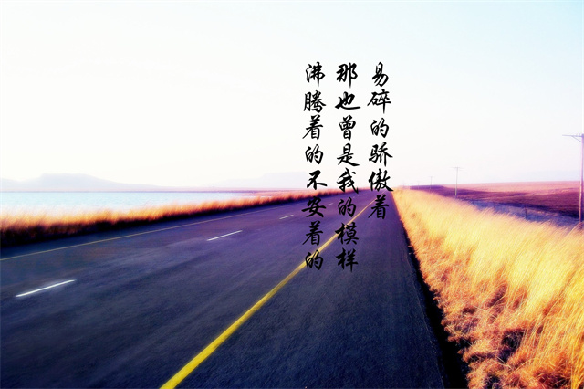 关于交通安全的作文