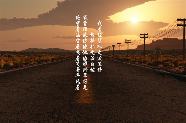 梦幻岛寻宝