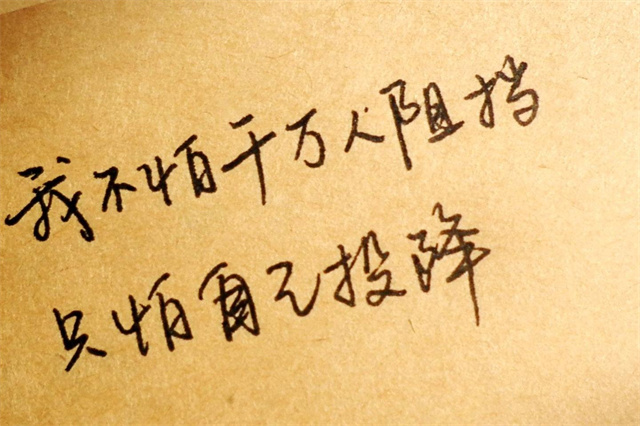 拔河比赛作文500字